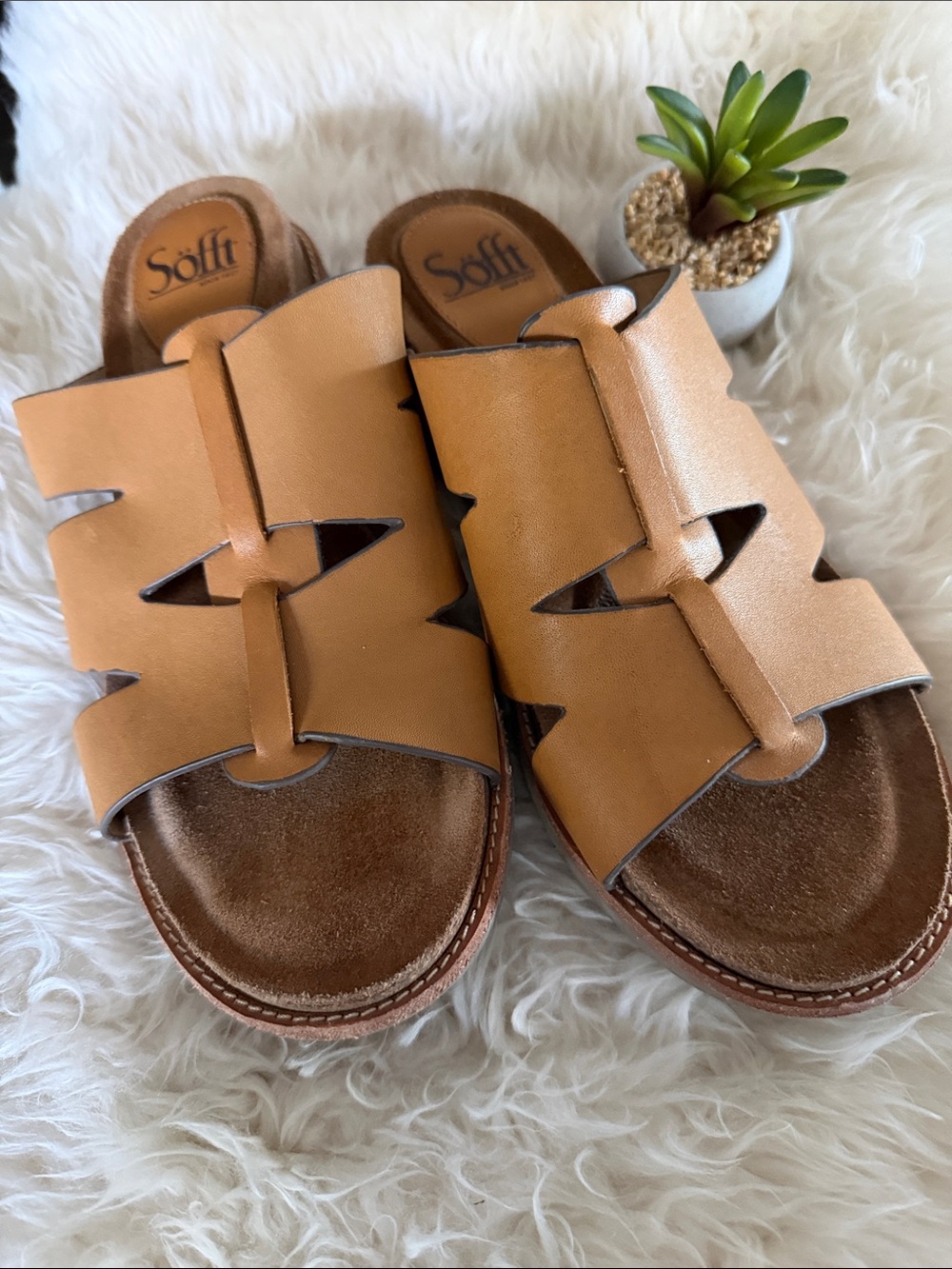Sofft BALIN 8.5 Slide Mules LEATHER SANDALS Cushy 1.75” Heels Leather Lining EUC
